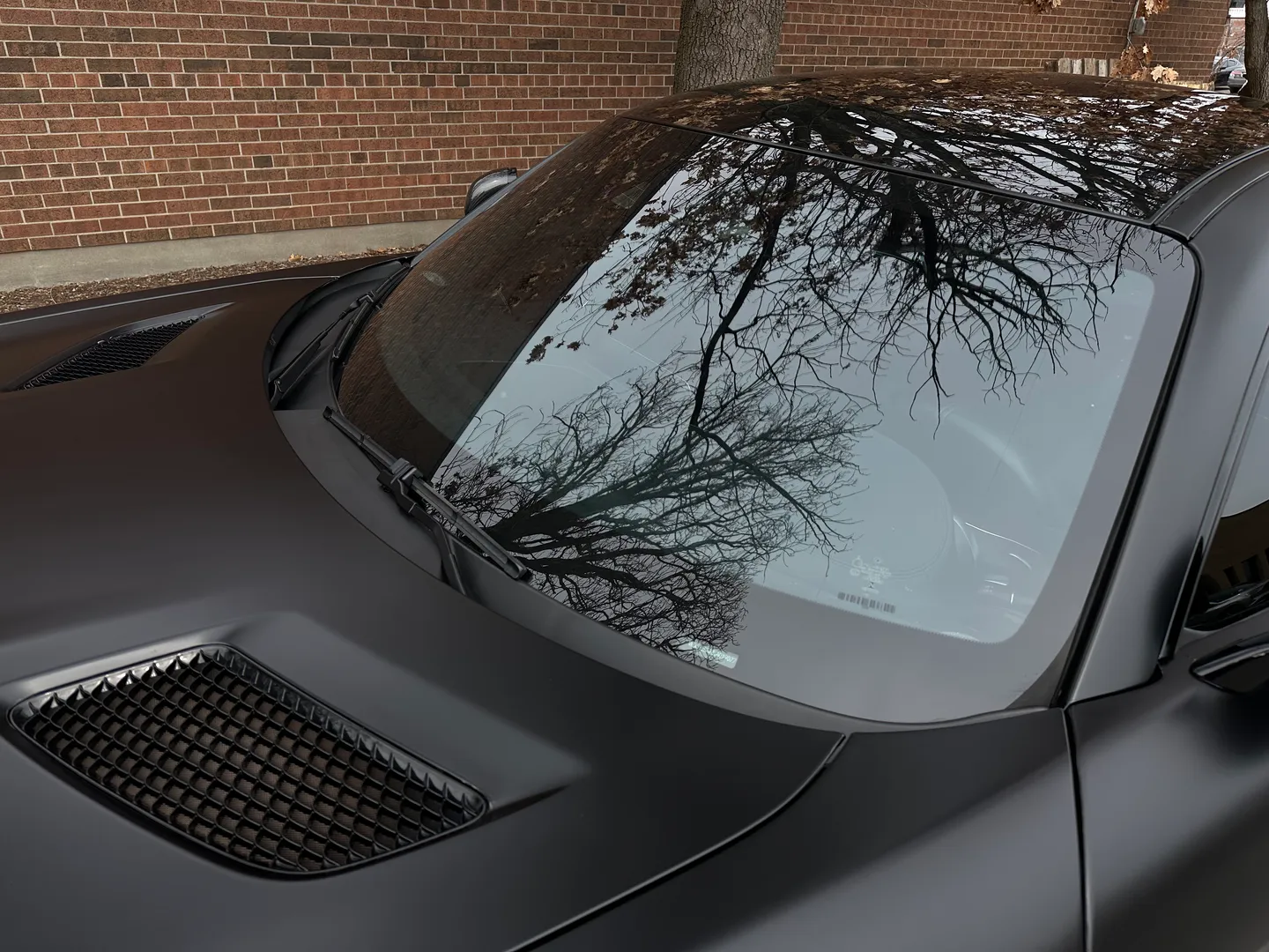 Mercedes Benz AMG GTC — photo 18