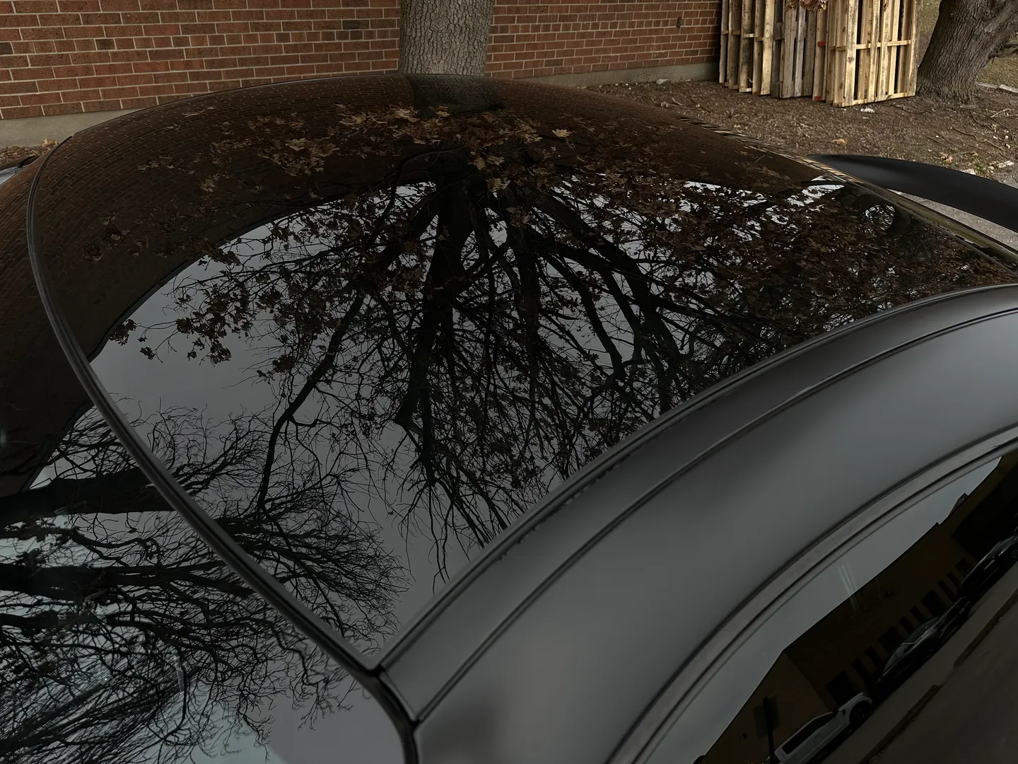 Mercedes Benz AMG GTC — photo 19