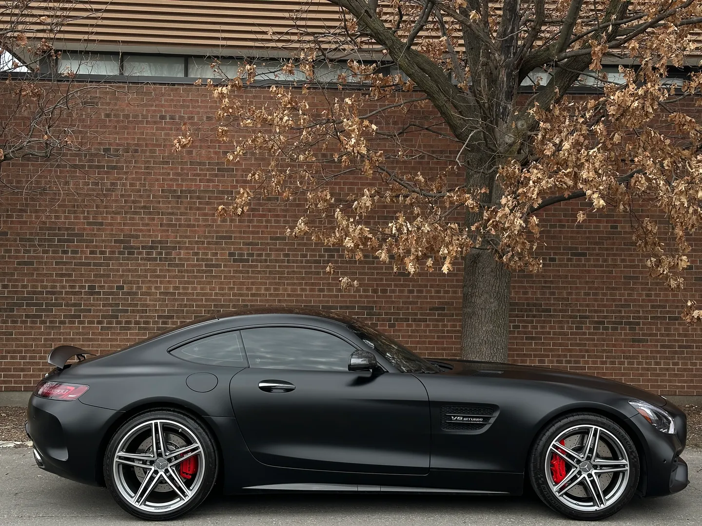 Mercedes Benz AMG GTC — photo 88