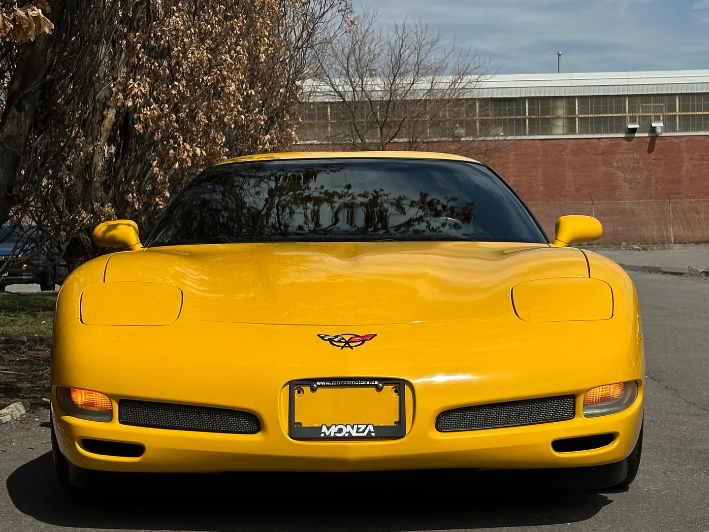 Chevrolet Corvette Z06 — photo 4
