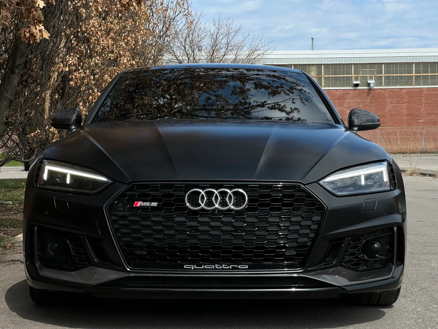 Audi RS5 Coupe Full body Satin PPF — photo 4