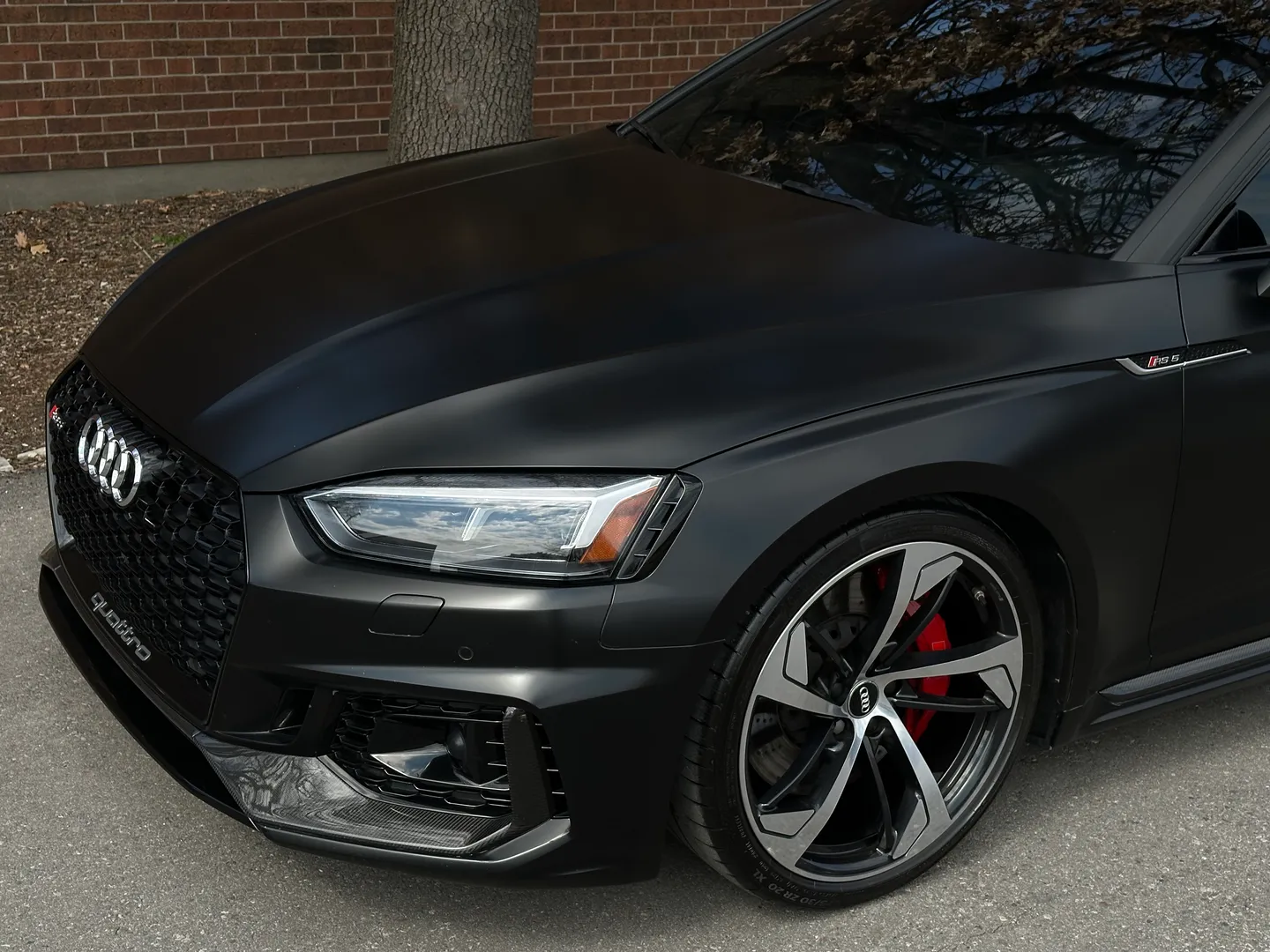Audi RS5 Coupe Full body Satin PPF — photo 5
