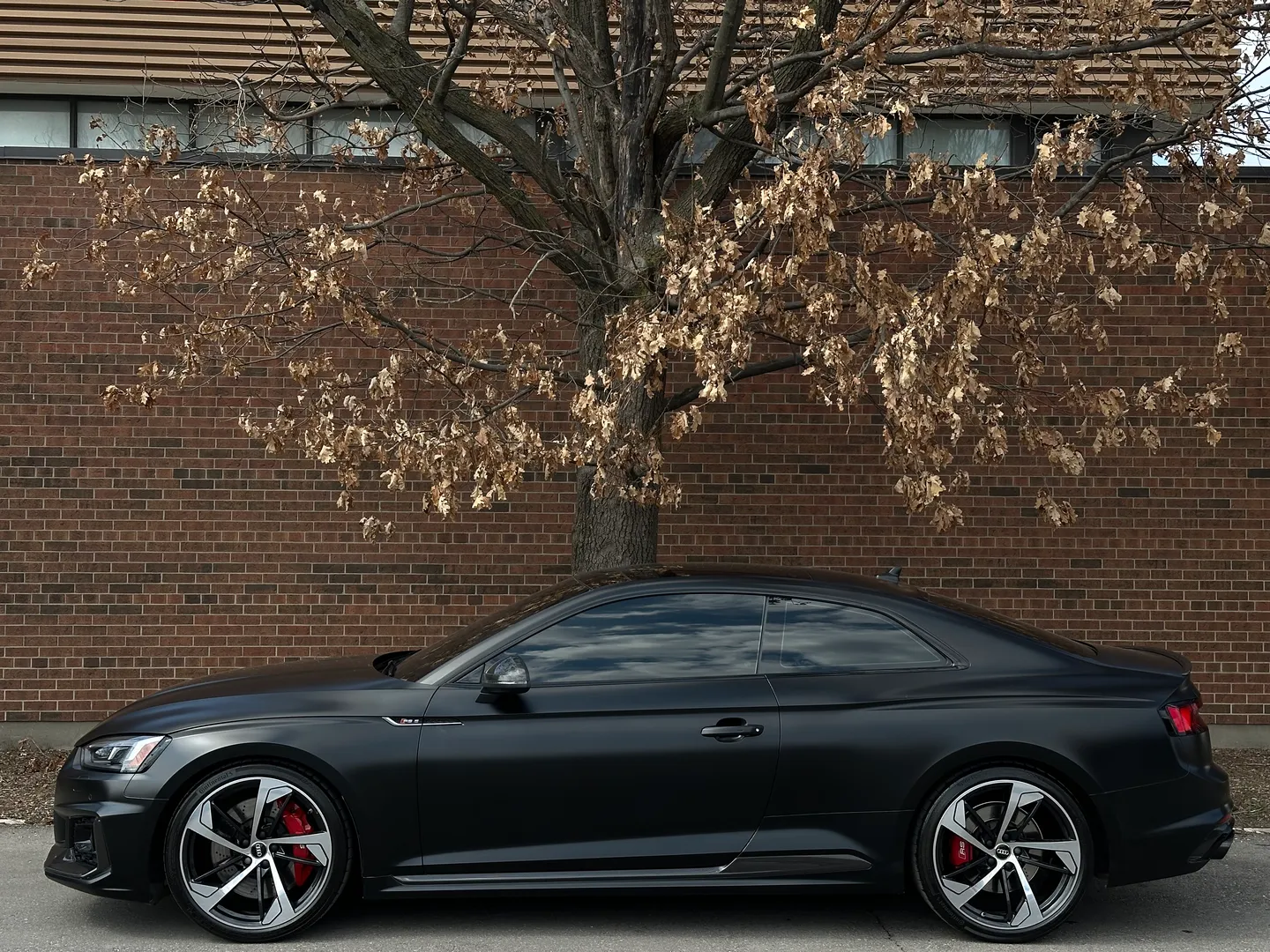 Audi RS5 Coupe Full body Satin PPF — photo 10