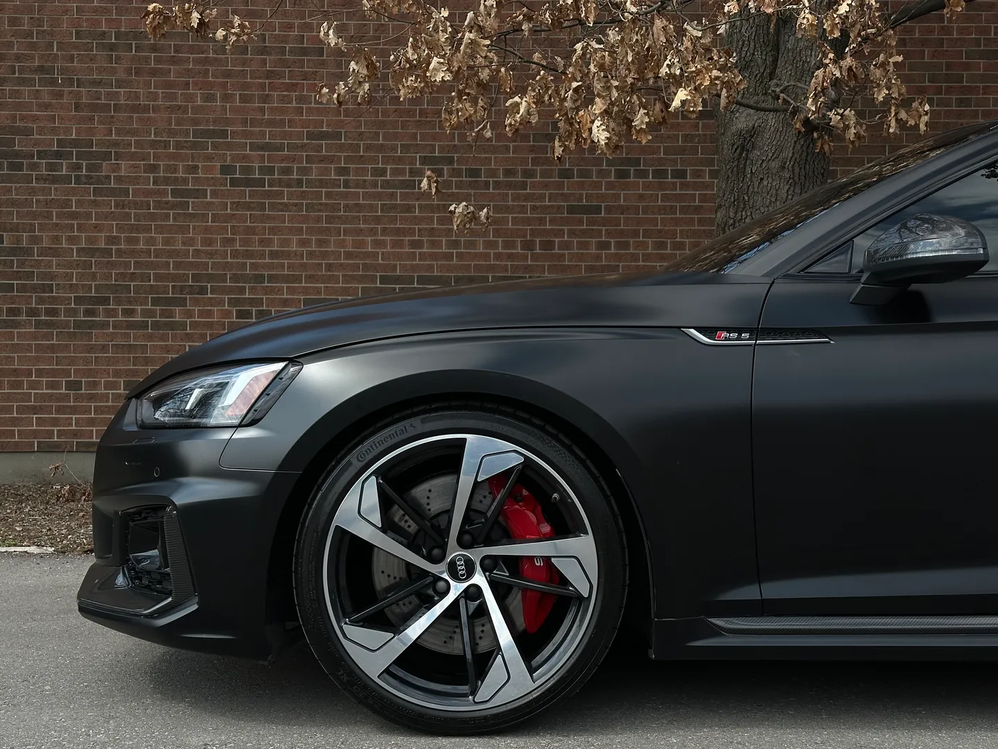 Audi RS5 Coupe Full body Satin PPF — photo 12
