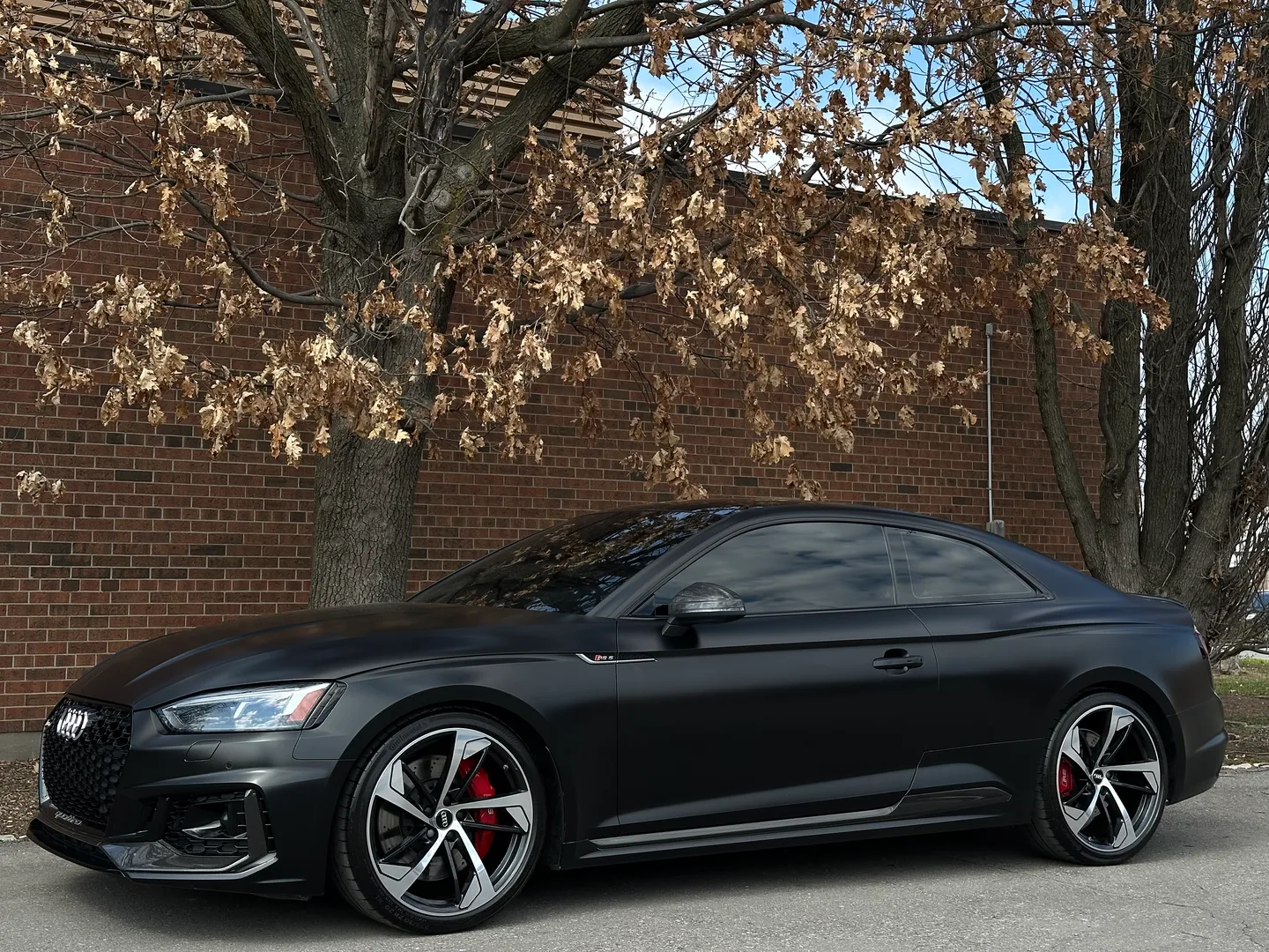 Audi RS5 Coupe Full body Satin PPF — photo 9
