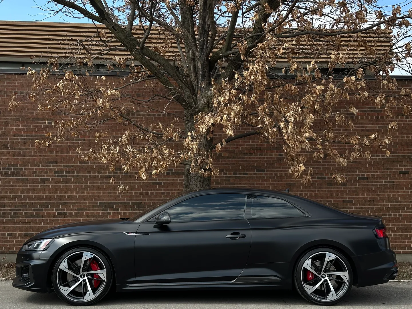 Audi RS5 Coupe Full body Satin PPF — photo 11