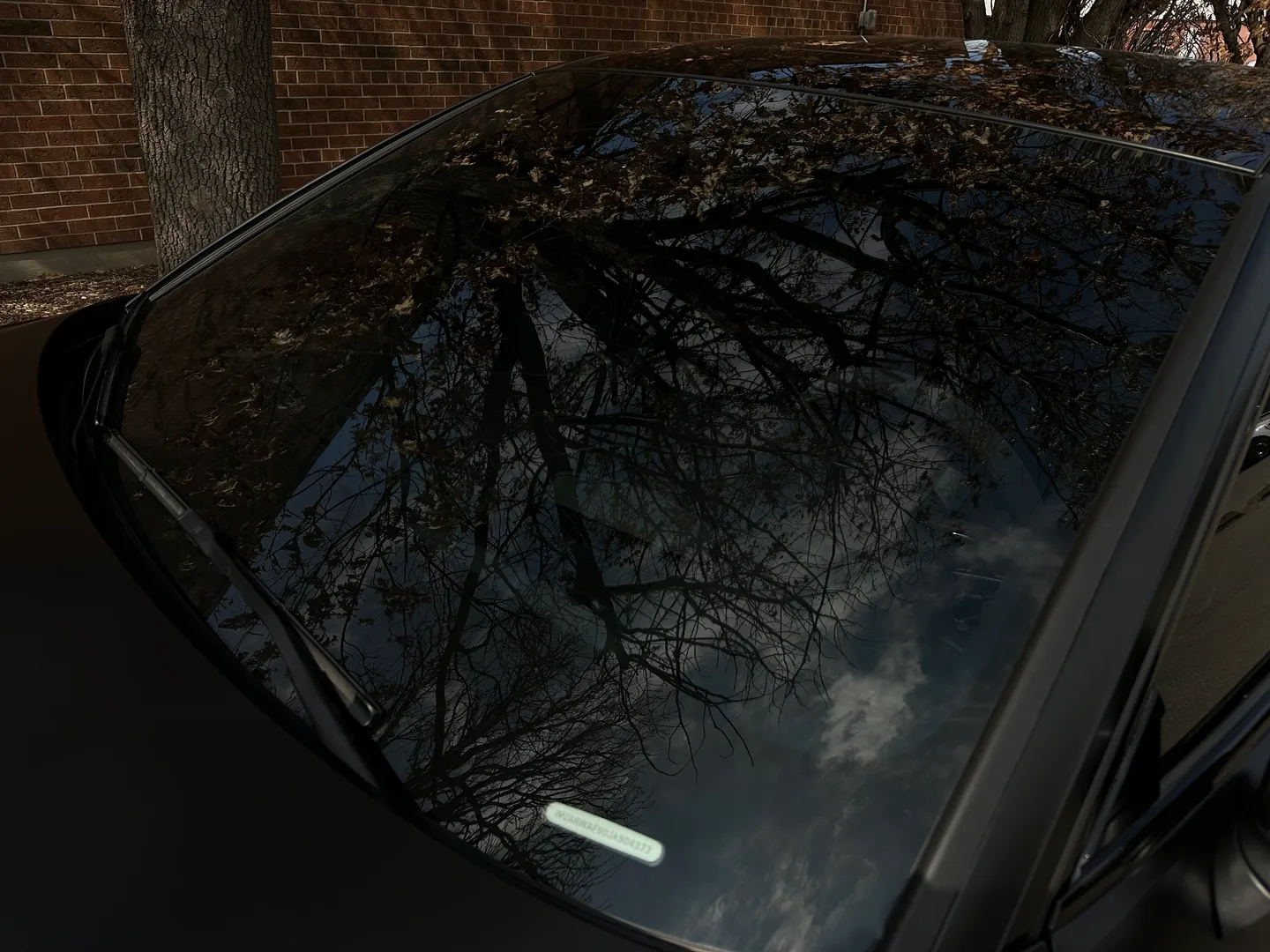 Audi RS5 Coupe Full body Satin PPF — photo 16