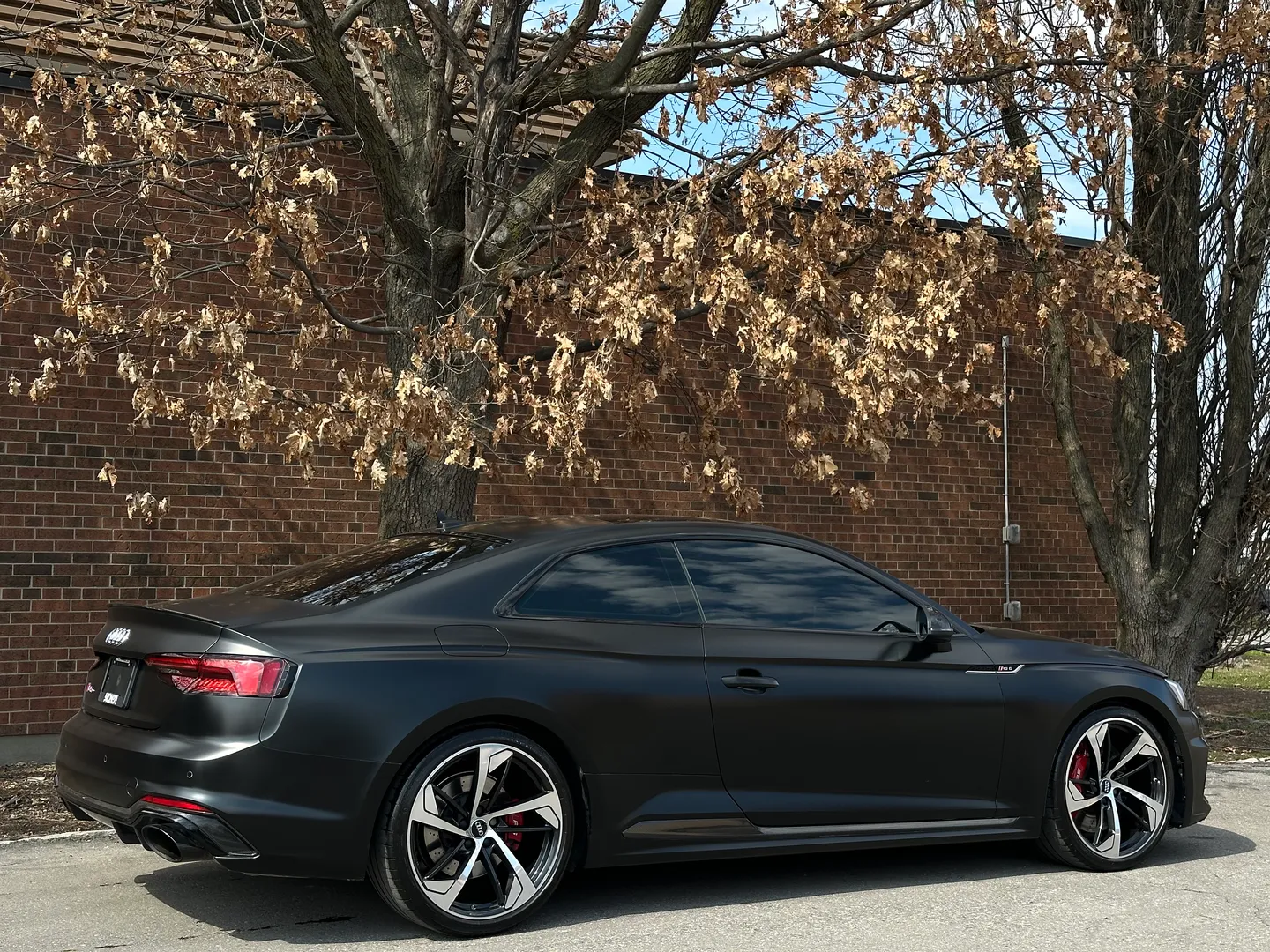 Audi RS5 Coupe Full body Satin PPF — photo 95