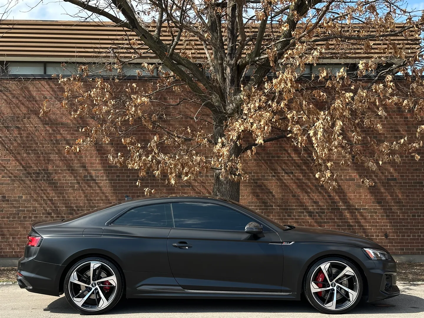 Audi RS5 Coupe Full body Satin PPF — photo 96
