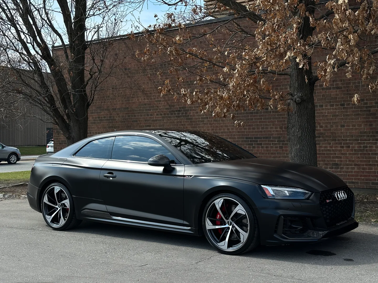 Audi RS5 Coupe Full body Satin PPF — photo 97