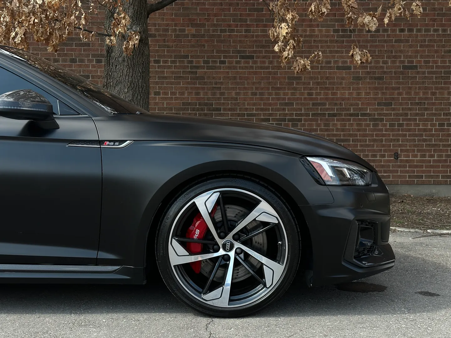 Audi RS5 Coupe Full body Satin PPF — photo 98