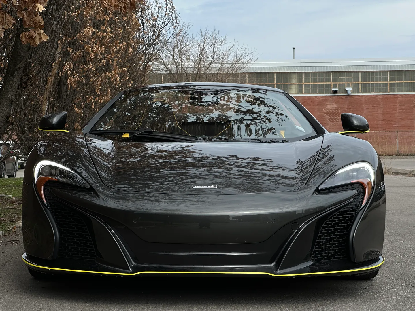 Mclaren 650S Spider — photo 6