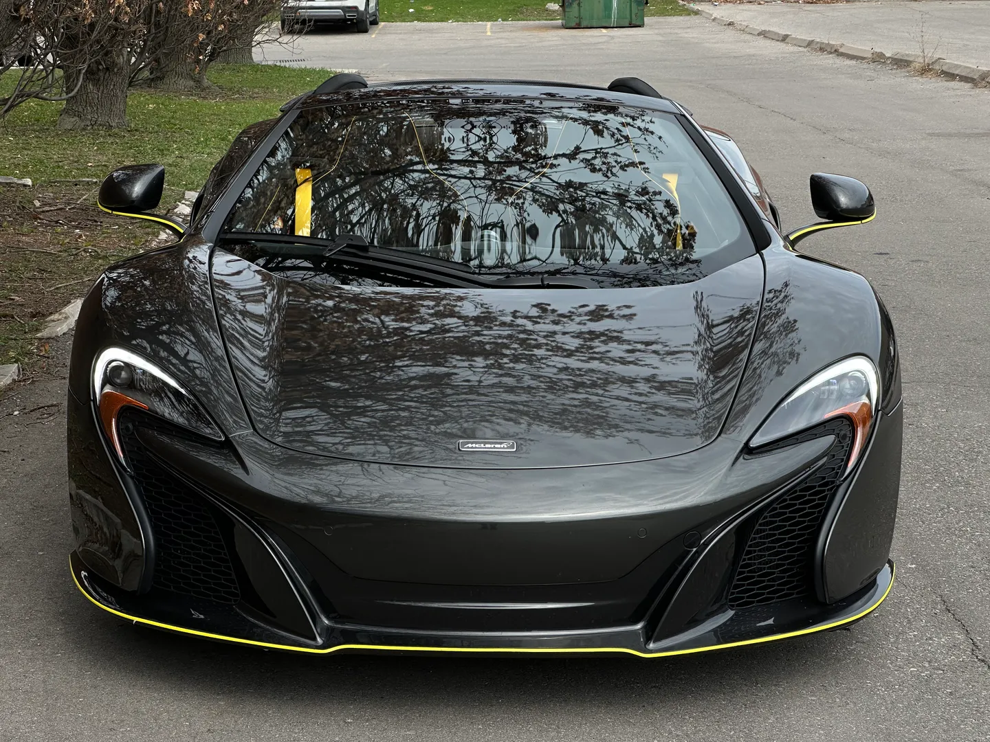 Mclaren 650S Spider — photo 5