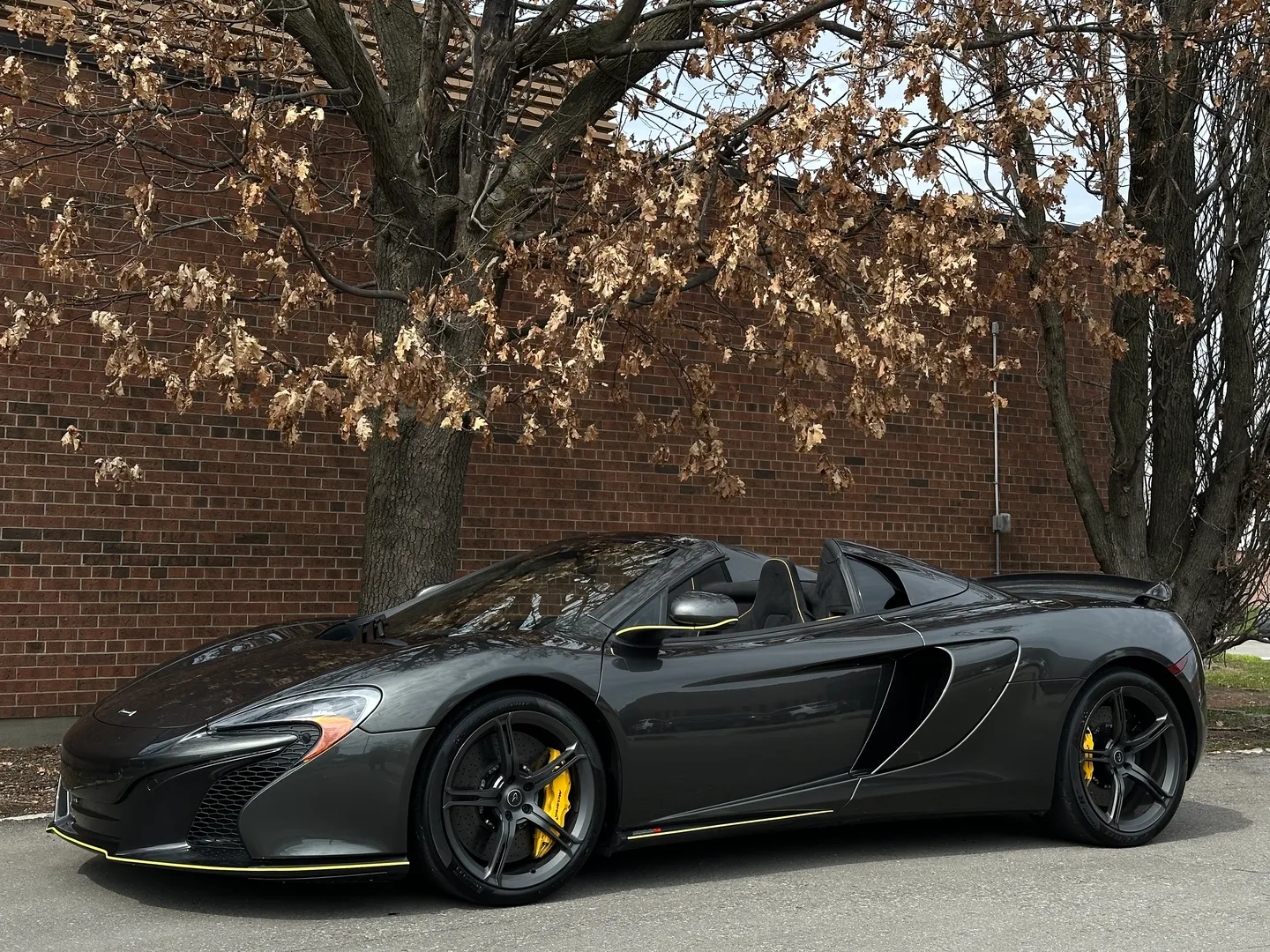 Mclaren 650S Spider — photo 9