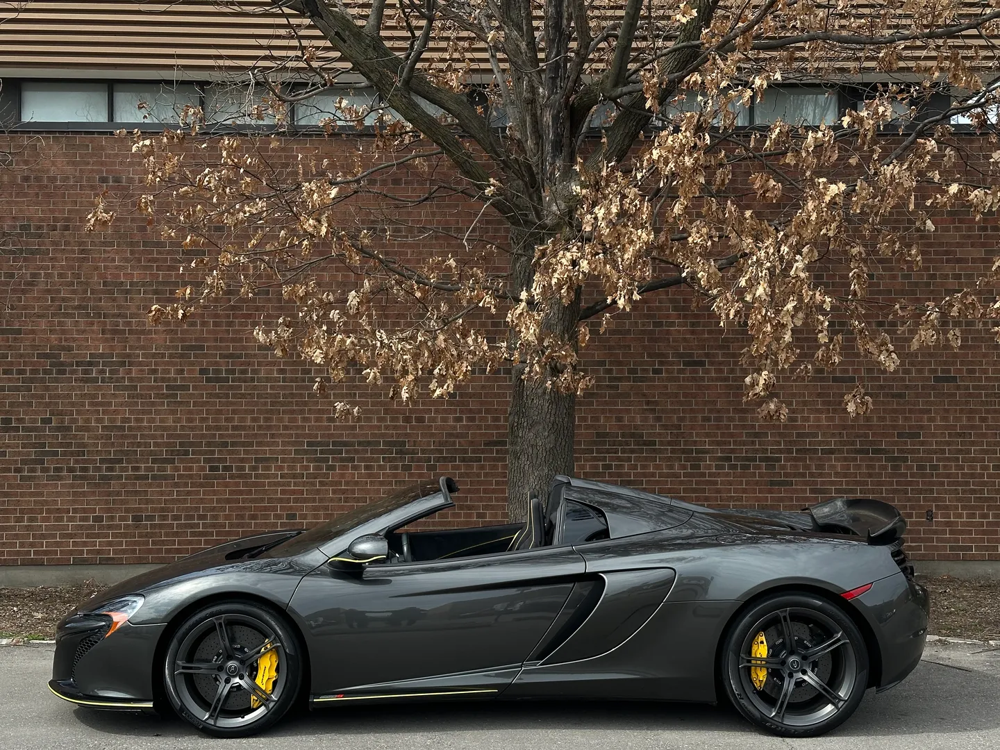 Mclaren 650S Spider — photo 10