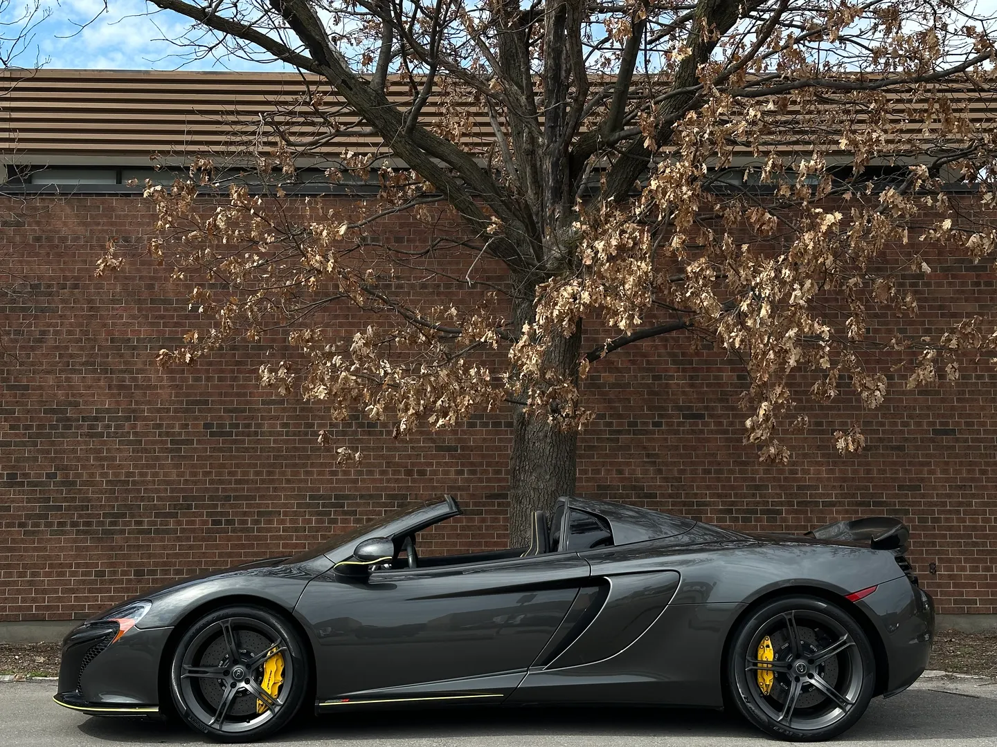 Mclaren 650S Spider — photo 11