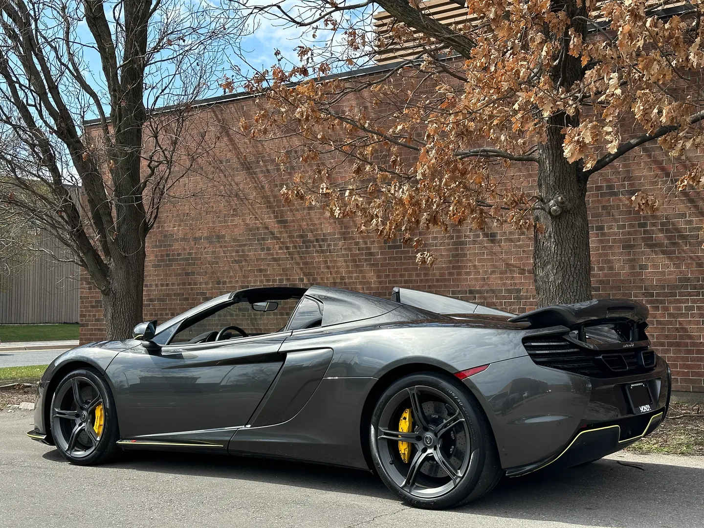 Mclaren 650S Spider — photo 23