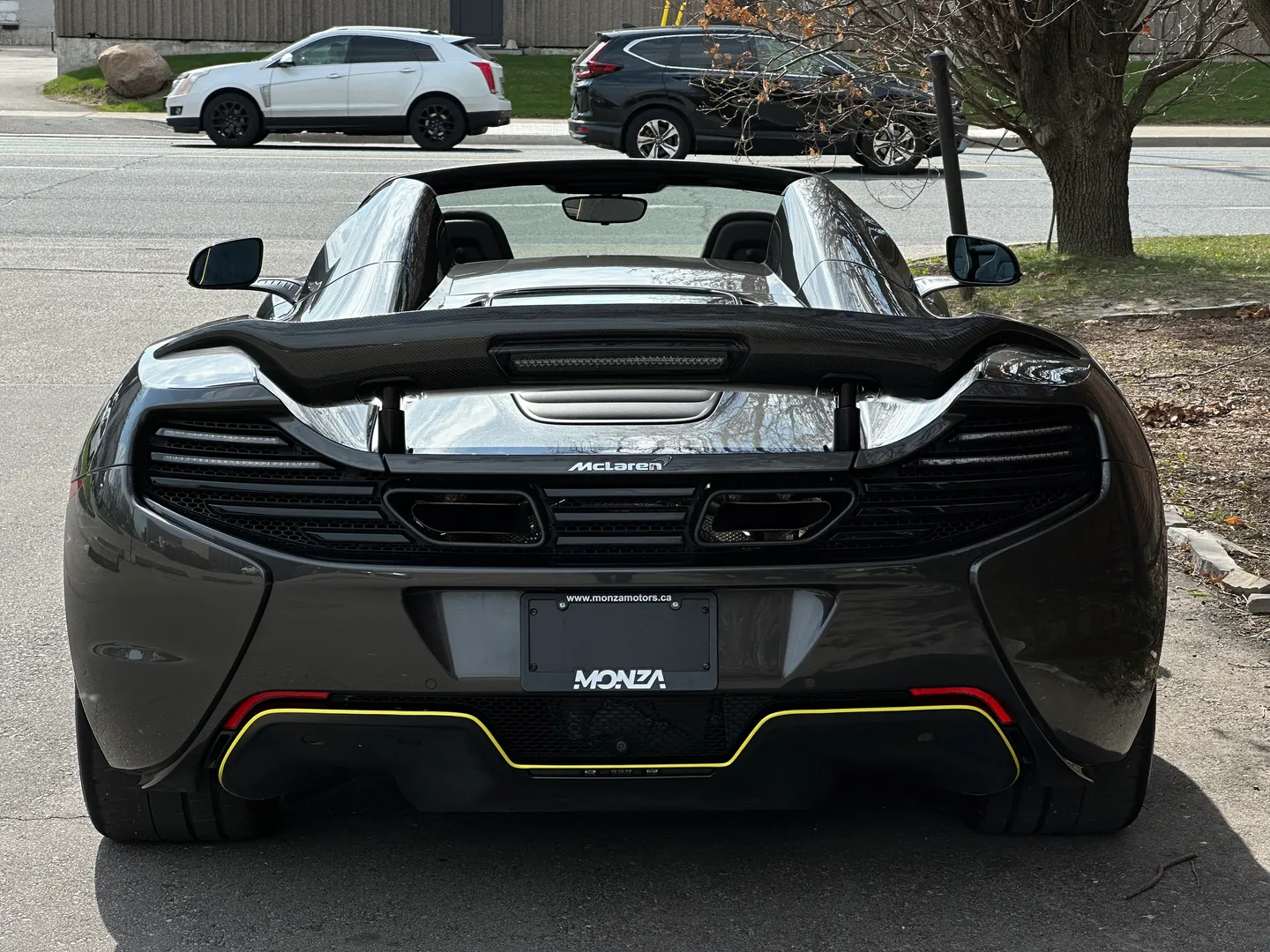 Mclaren 650S Spider — photo 25