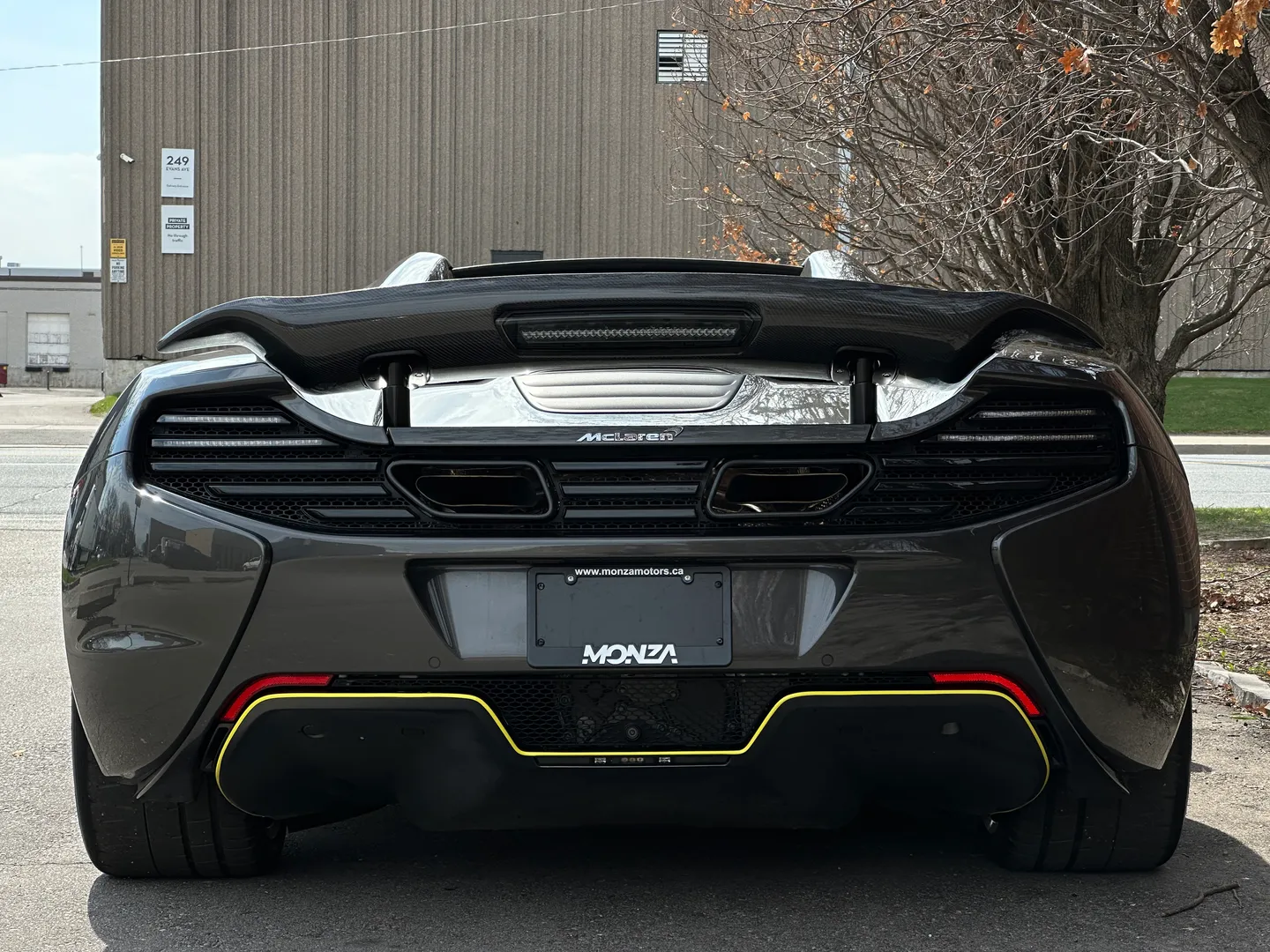 Mclaren 650S Spider — photo 26