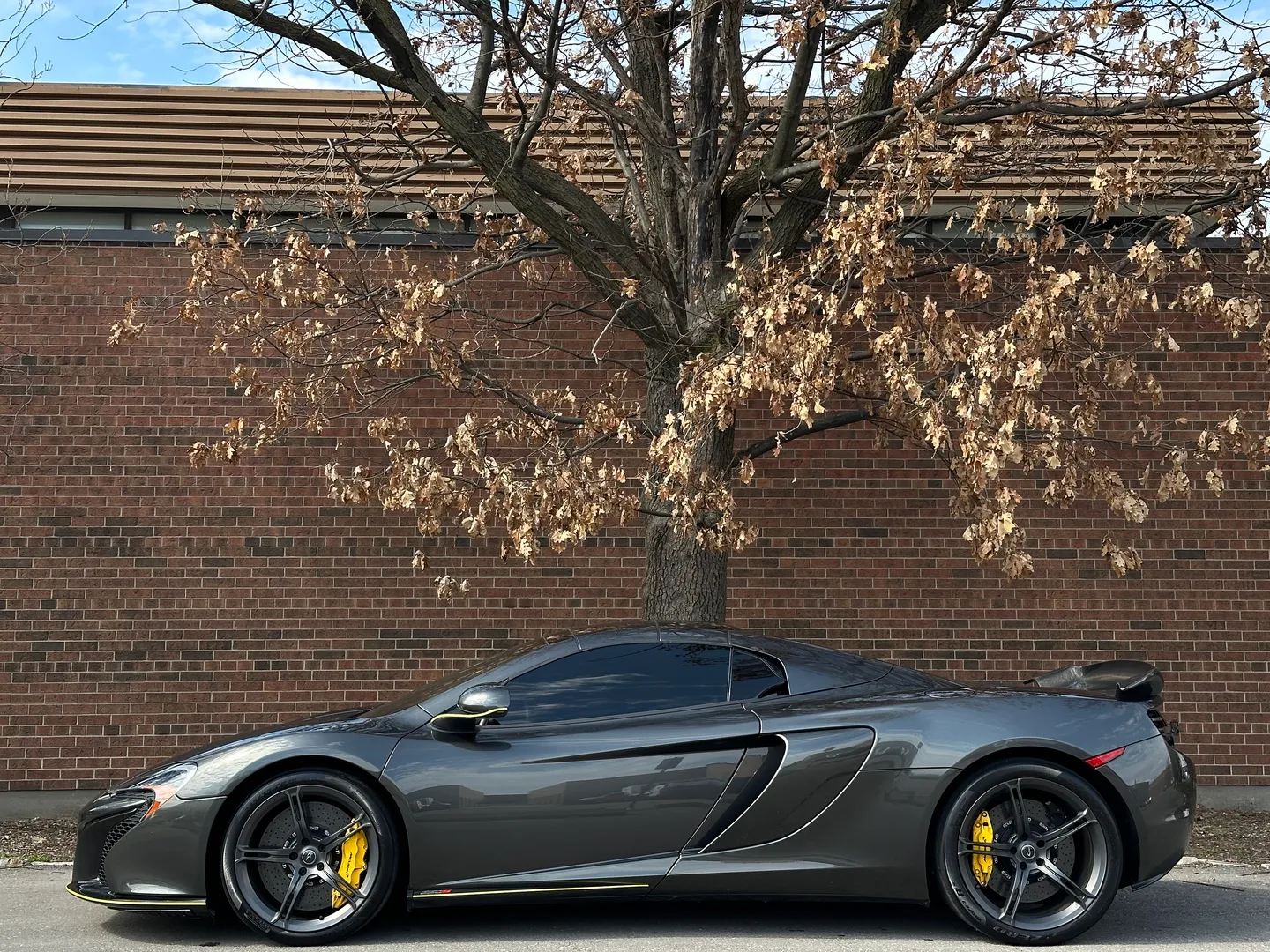 Mclaren 650S Spider — photo 37
