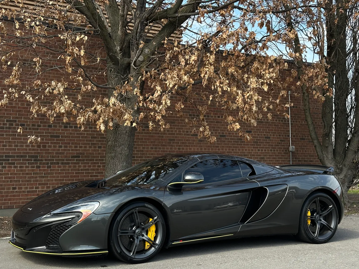Mclaren 650S Spider — photo 35