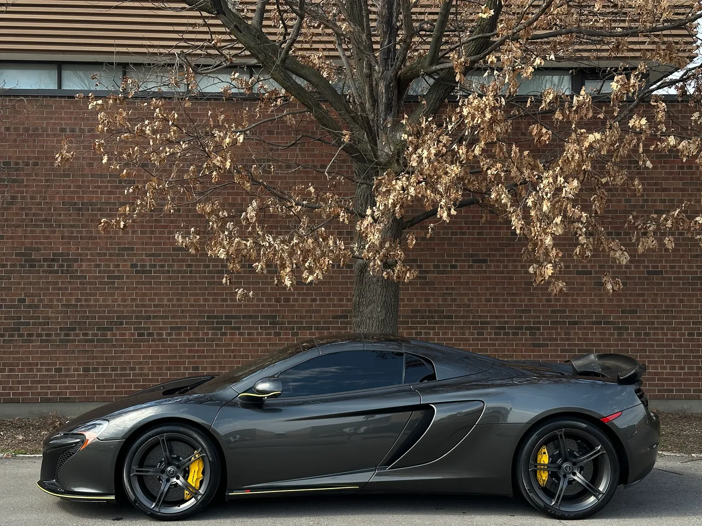 Mclaren 650S Spider — photo 36