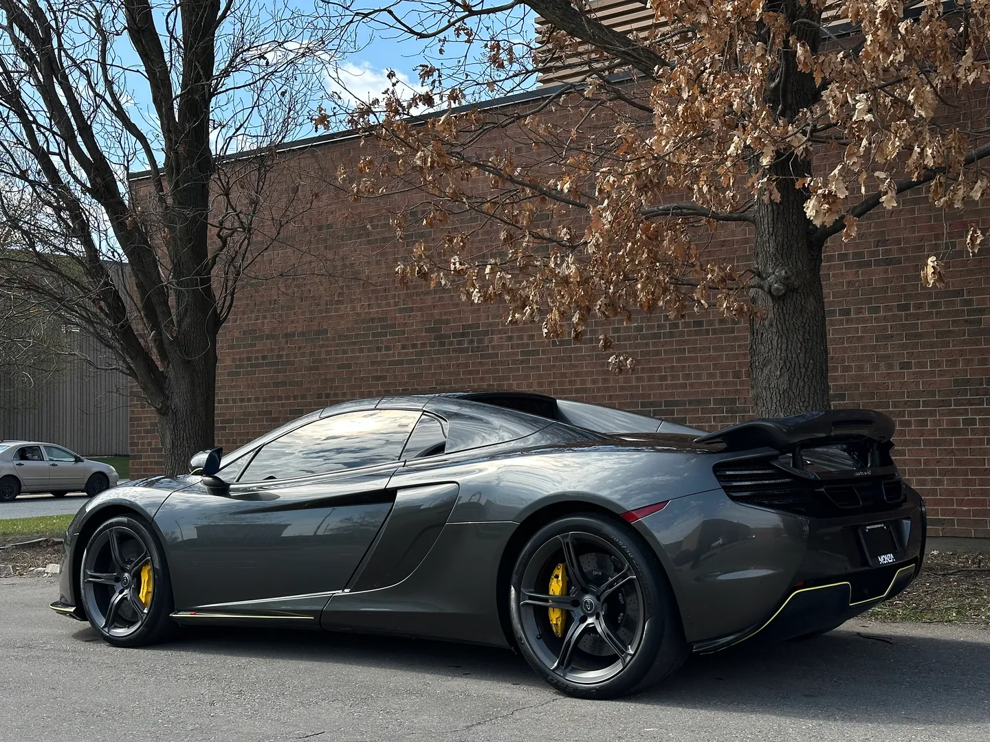 Mclaren 650S Spider — photo 38