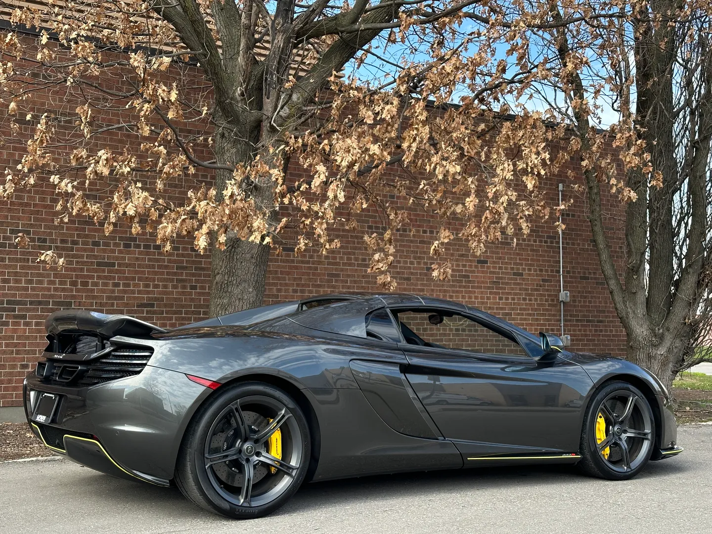Mclaren 650S Spider — photo 78