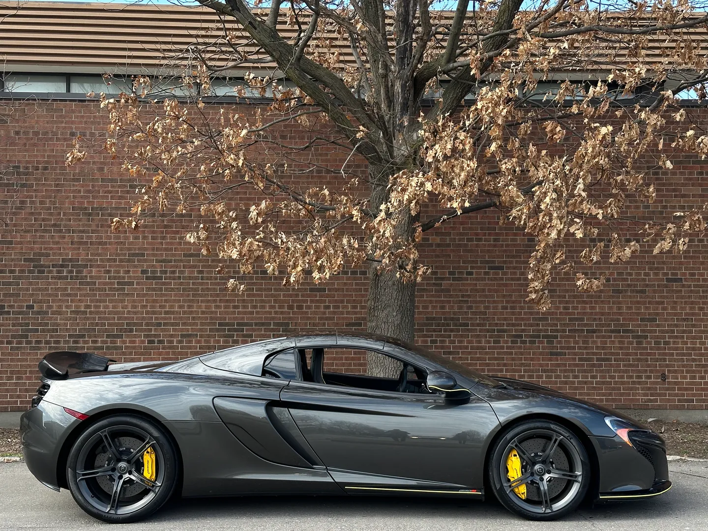 Mclaren 650S Spider — photo 79
