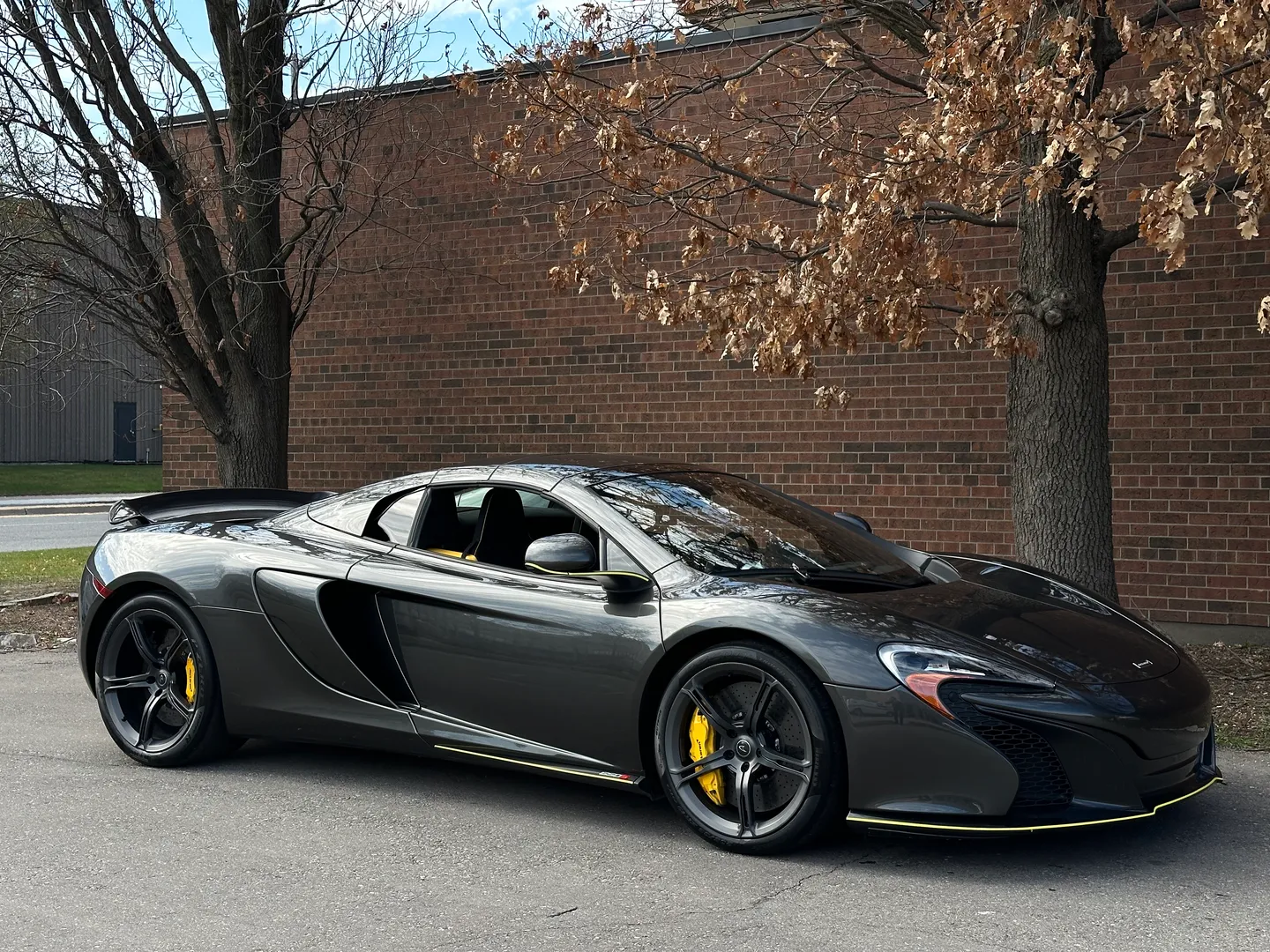 Mclaren 650S Spider — photo 82