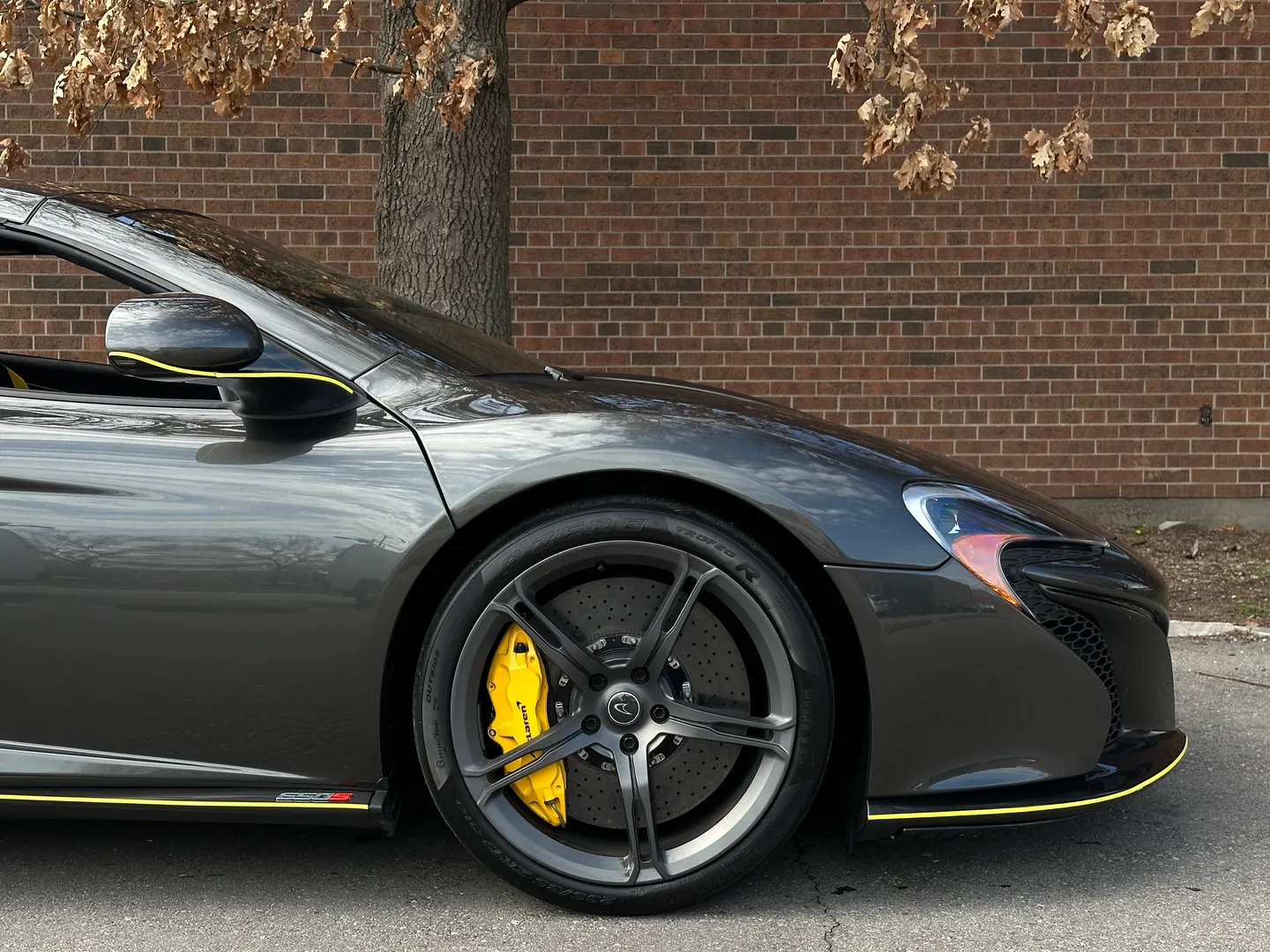 Mclaren 650S Spider — photo 81