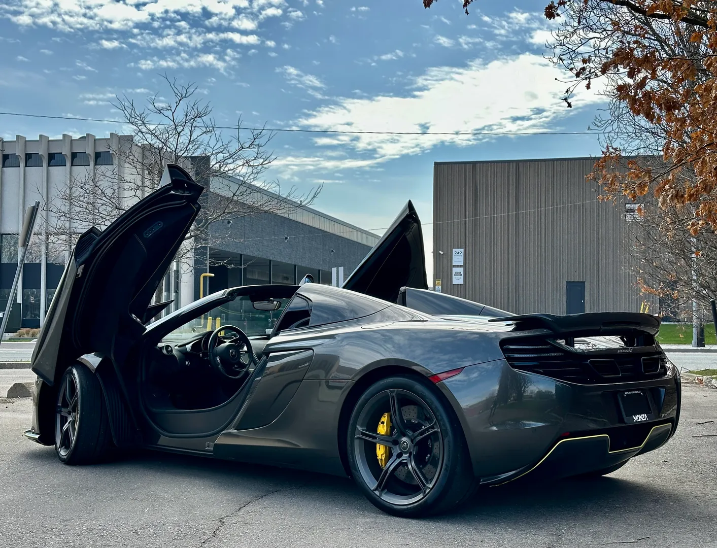Mclaren 650S Spider — photo 87