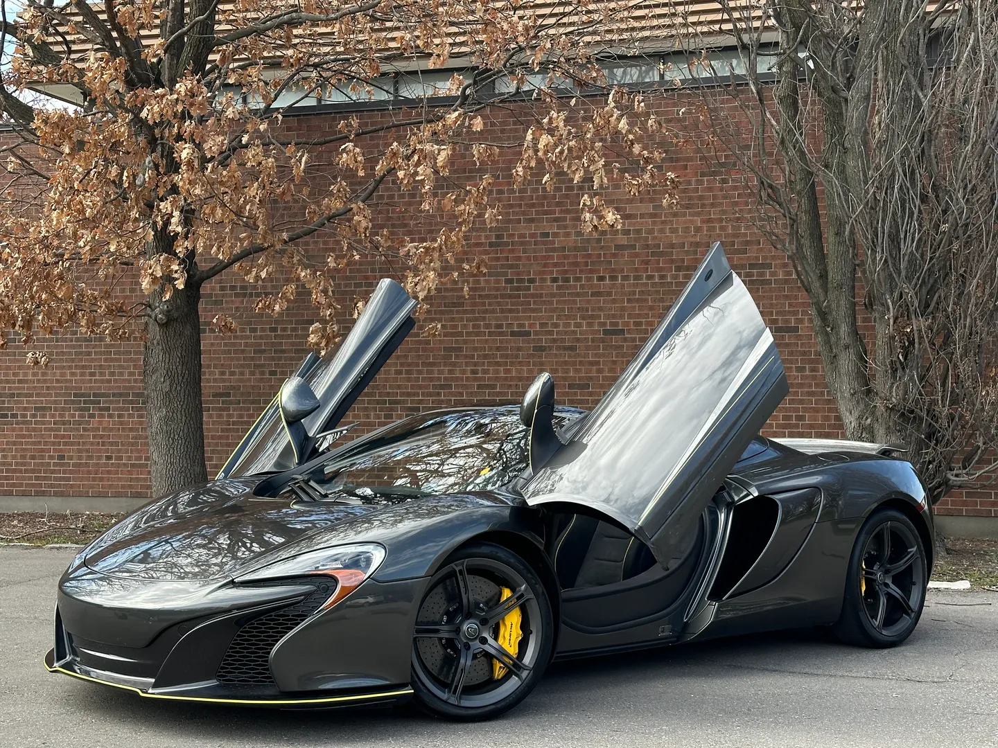 Mclaren 650S Spider — photo 86