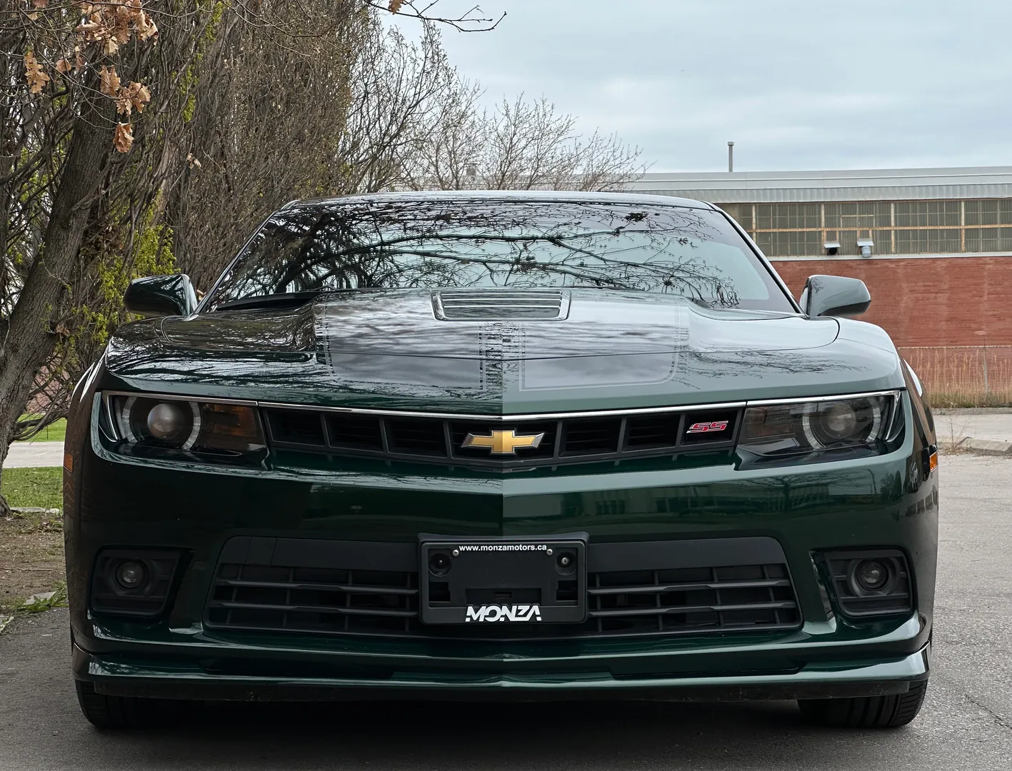 Chevrolet Camaro SS 2SS Green Flash Edition 1/811 — photo 4