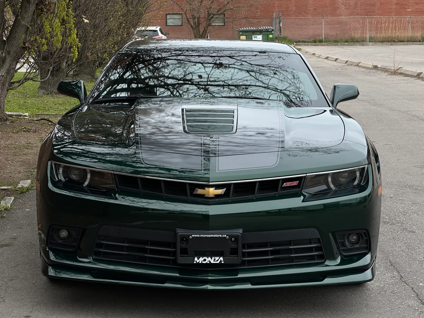 Chevrolet Camaro SS 2SS Green Flash Edition 1/811 — photo 3