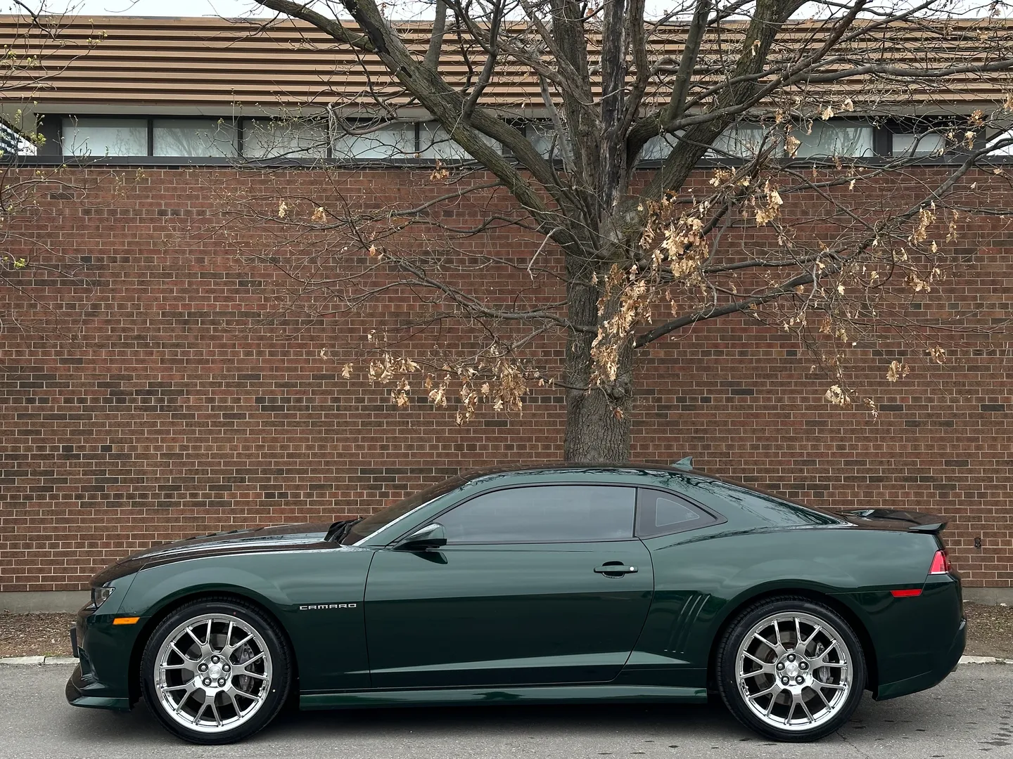 Chevrolet Camaro SS 2SS Green Flash Edition 1/811 — photo 10
