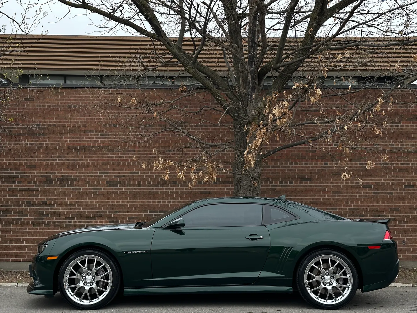 Chevrolet Camaro SS 2SS Green Flash Edition 1/811 — photo 11