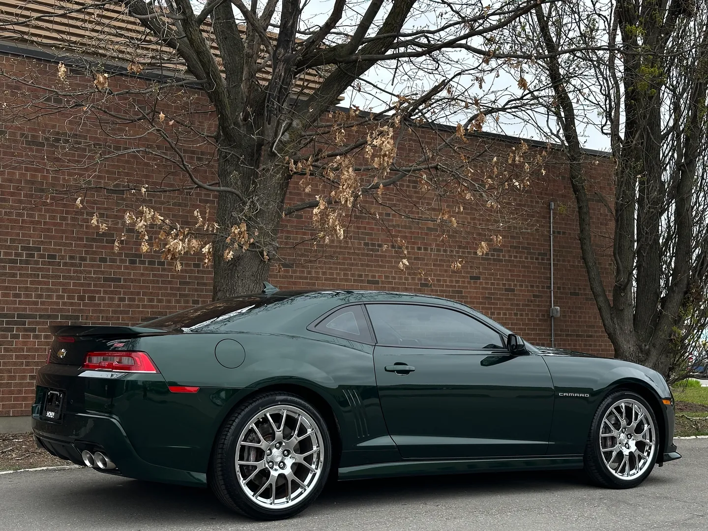 Chevrolet Camaro SS 2SS Green Flash Edition 1/811 — photo 82