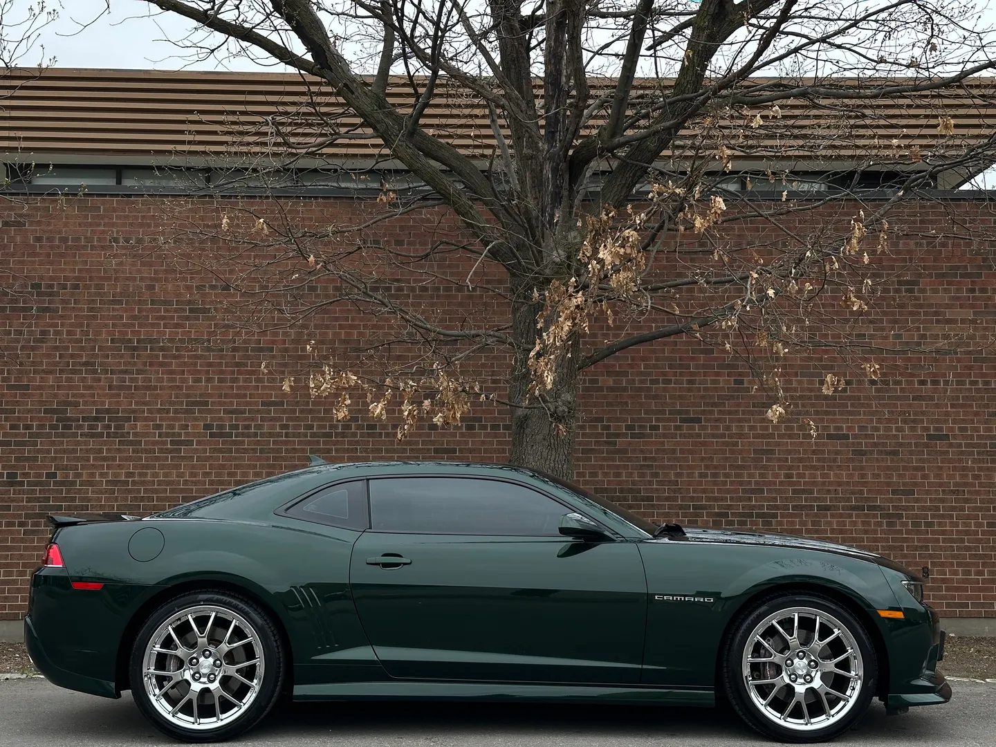 Chevrolet Camaro SS 2SS Green Flash Edition 1/811 — photo 84