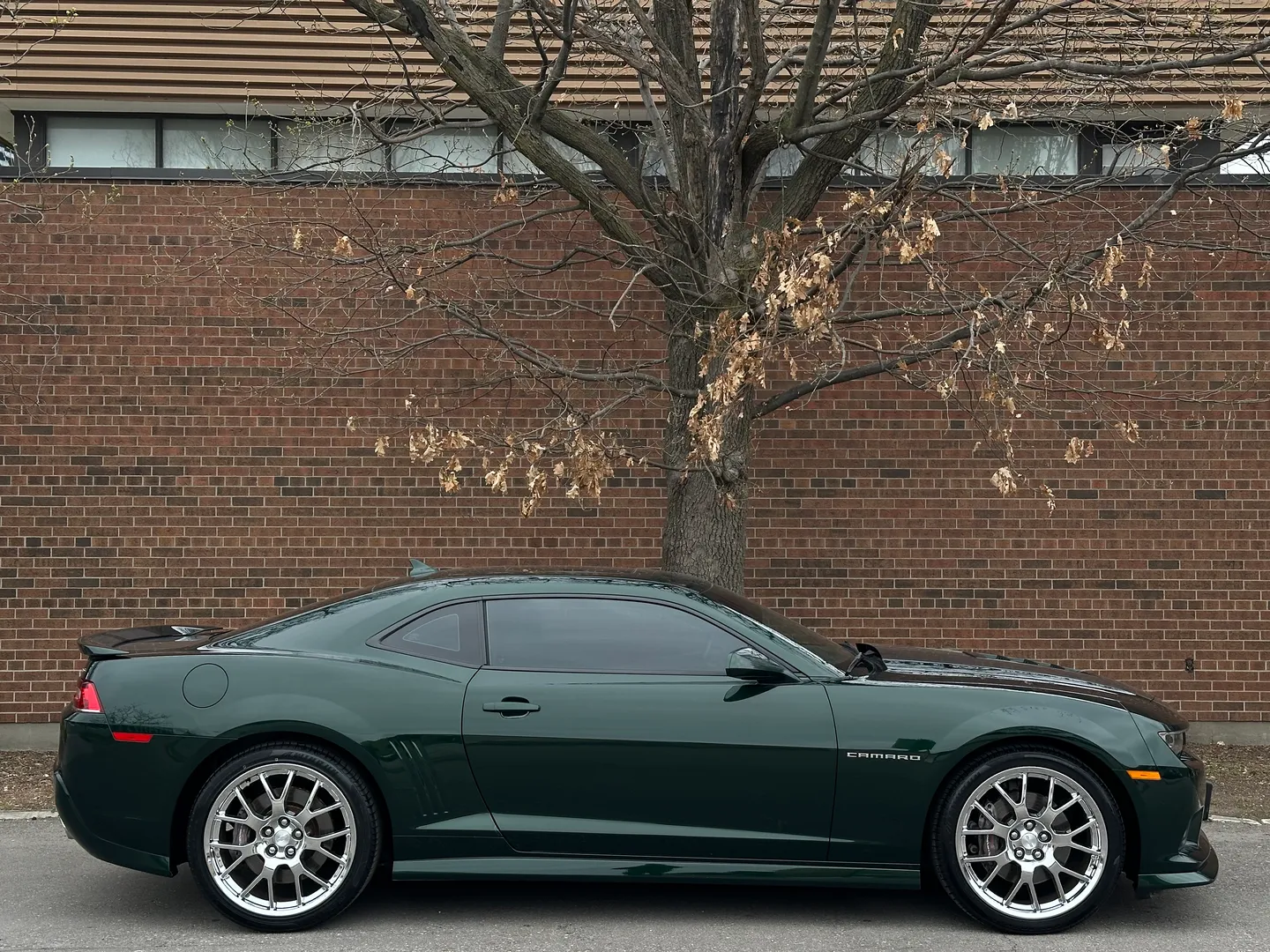 Chevrolet Camaro SS 2SS Green Flash Edition 1/811 — photo 83