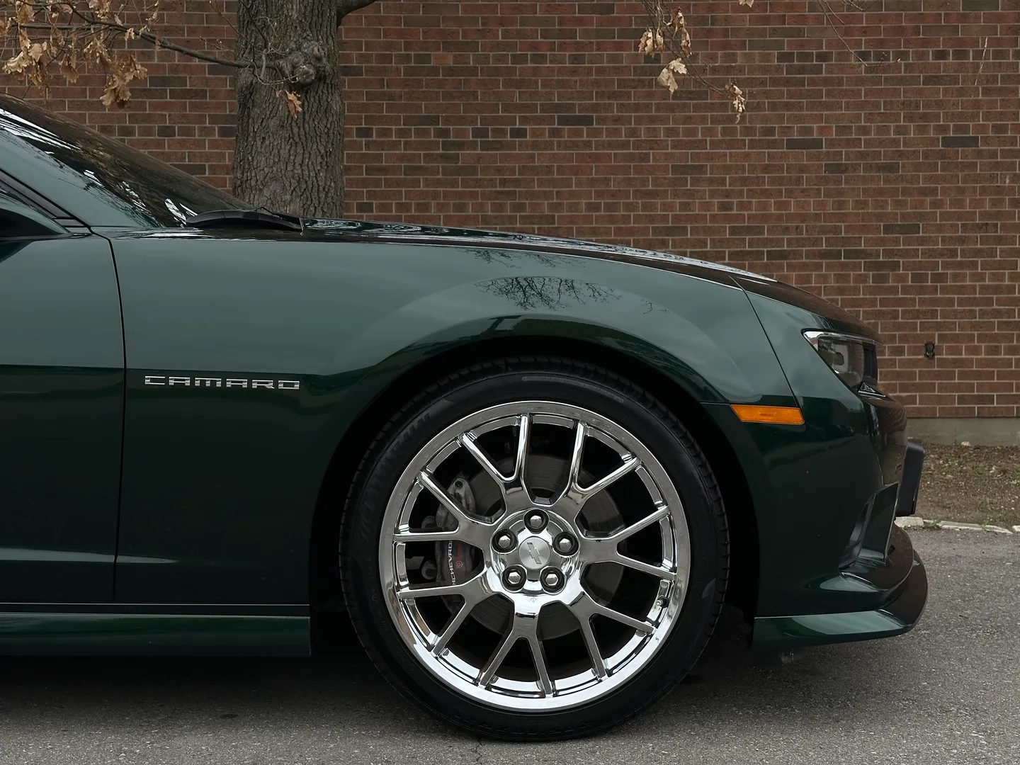 Chevrolet Camaro SS 2SS Green Flash Edition 1/811 — photo 86