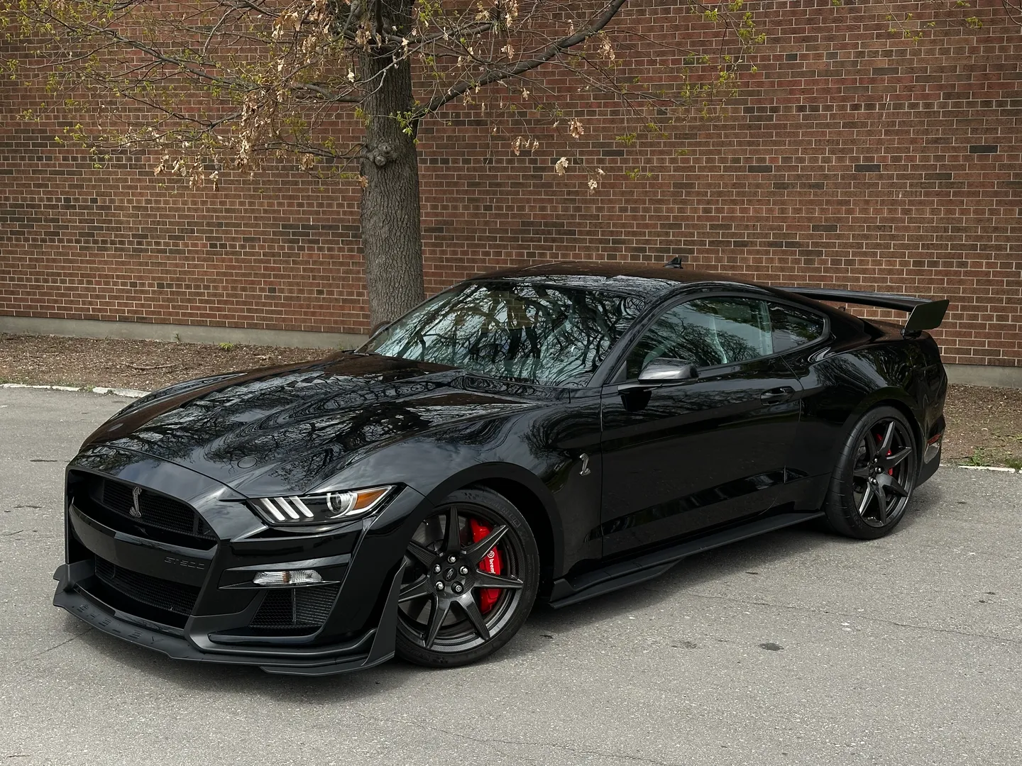 Ford Mustang Shelby GT500 Carbon Track Package — photo 2