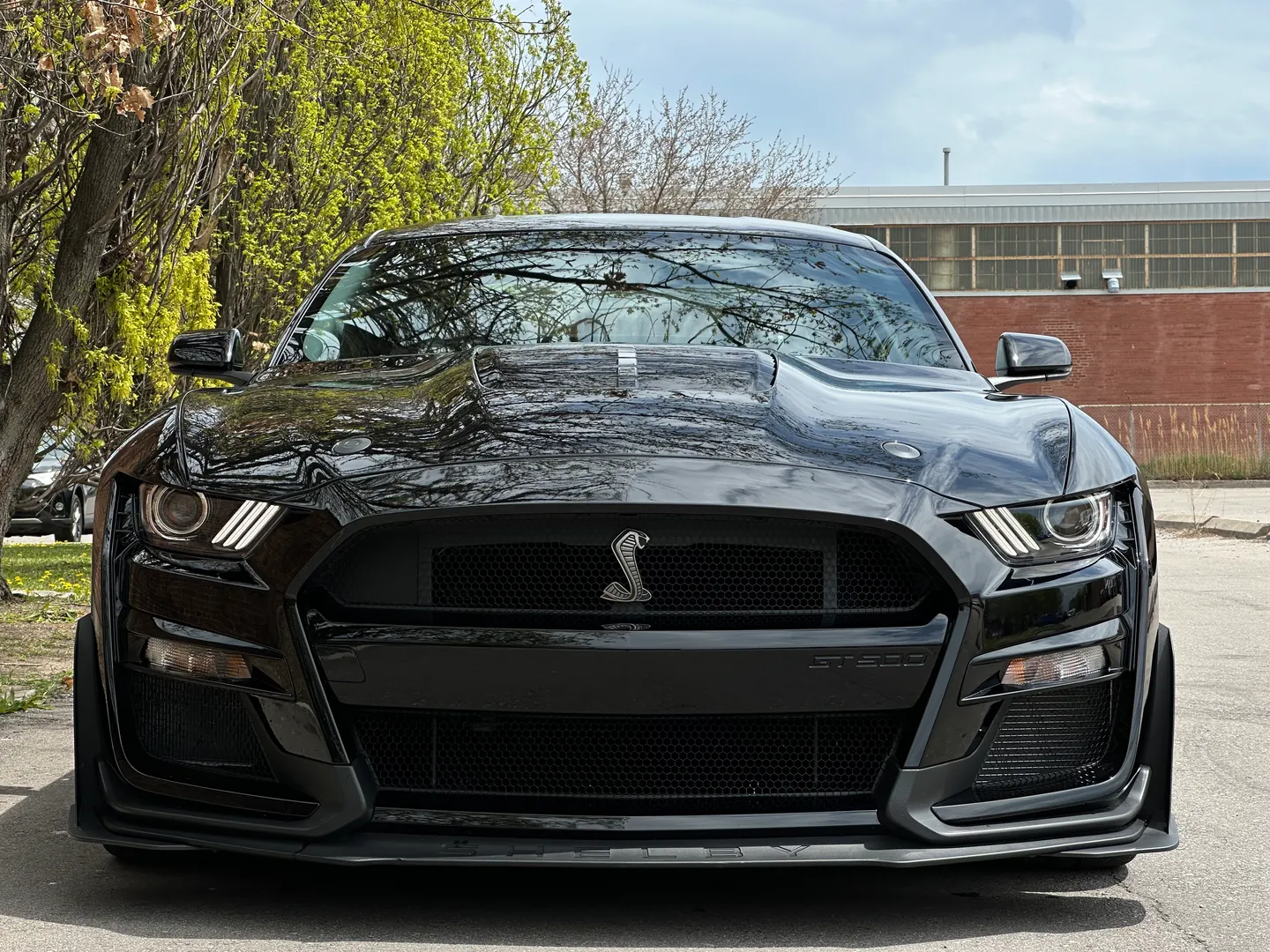Ford Mustang Shelby GT500 Carbon Track Package — photo 4