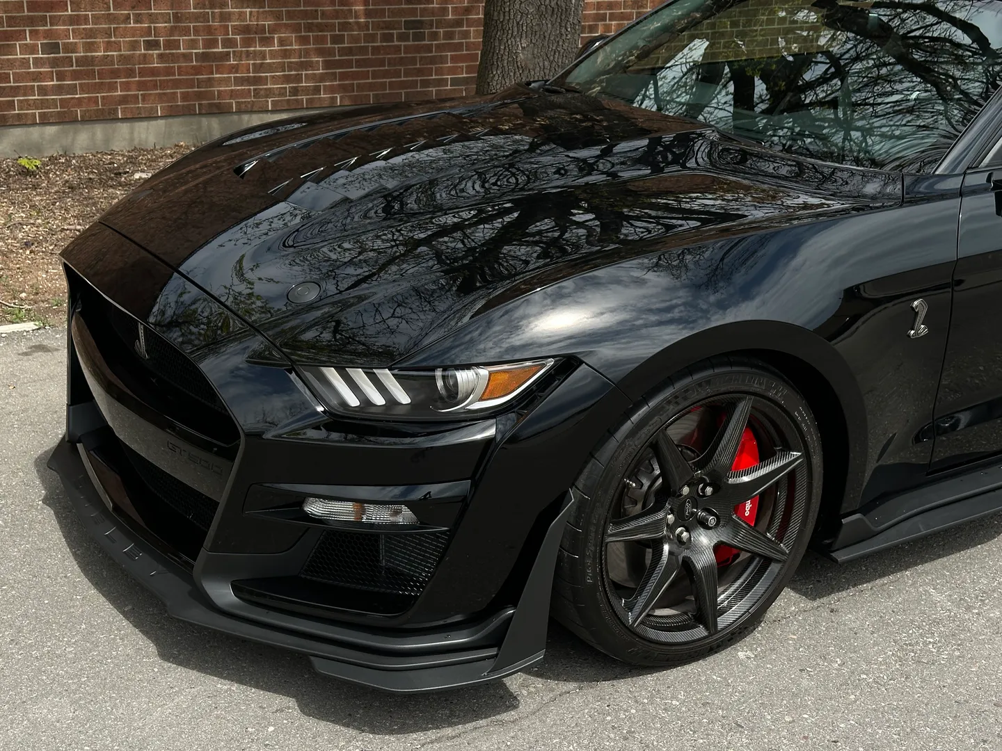 Ford Mustang Shelby GT500 Carbon Track Package — photo 5