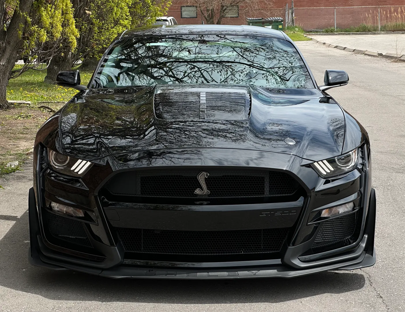 Ford Mustang Shelby GT500 Carbon Track Package — photo 3
