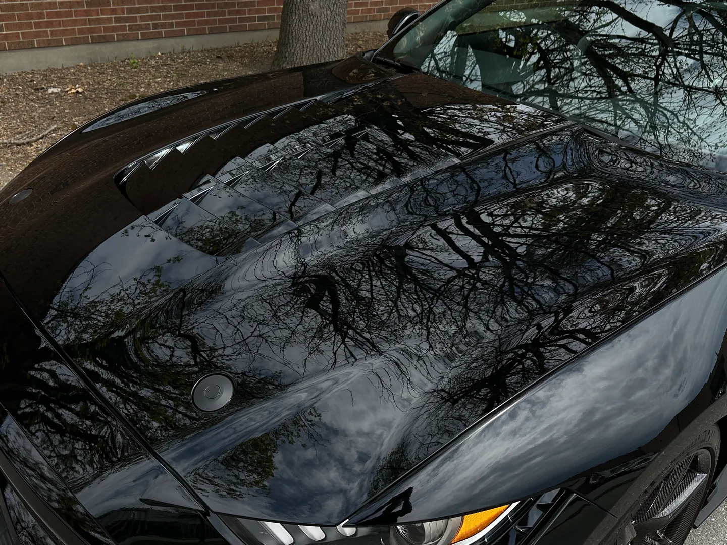 Ford Mustang Shelby GT500 Carbon Track Package — photo 6