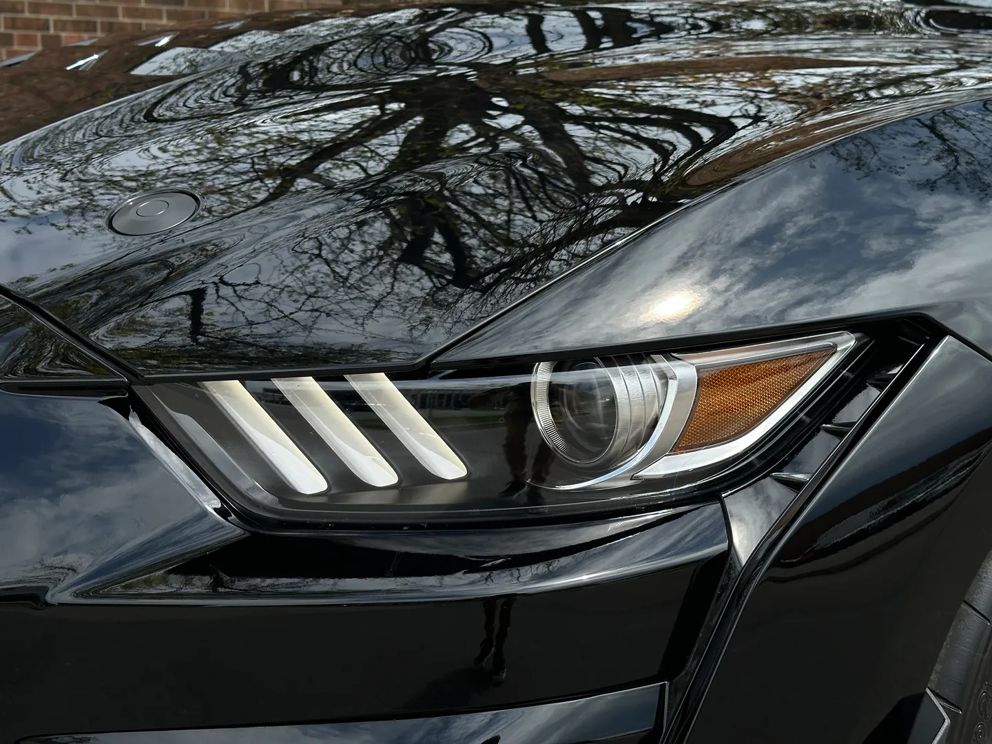 Ford Mustang Shelby GT500 Carbon Track Package — photo 7