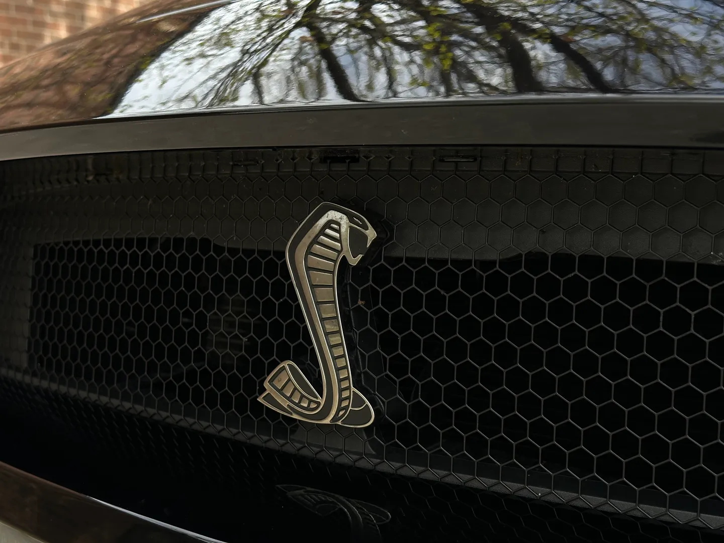 Ford Mustang Shelby GT500 Carbon Track Package — photo 8