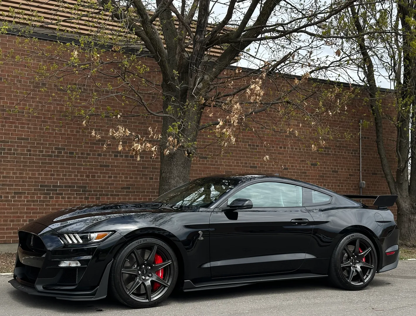 Ford Mustang Shelby GT500 Carbon Track Package — photo 12