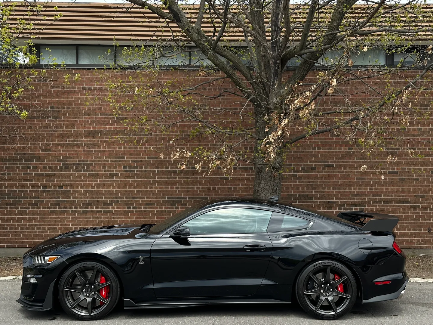 Ford Mustang Shelby GT500 Carbon Track Package — photo 13